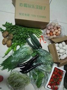 娱乐吃瓜酱地瓜