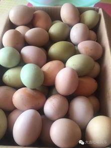 娱乐吃瓜酱地瓜